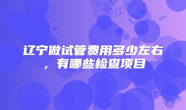 辽宁做试管费用多少左右,有哪些检查项目