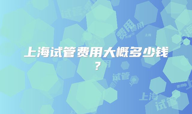 上海试管费用大概多少钱？