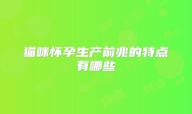 猫咪怀孕生产前兆的特点有哪些