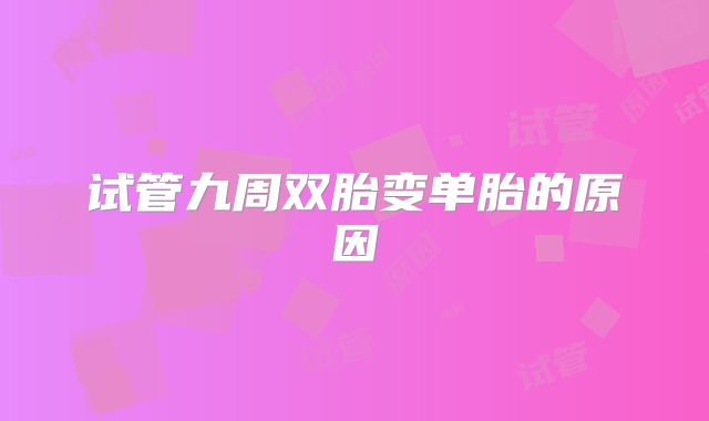 试管九周双胎变单胎的原因