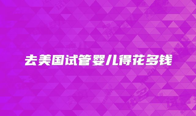 去美国试管婴儿得花多钱
