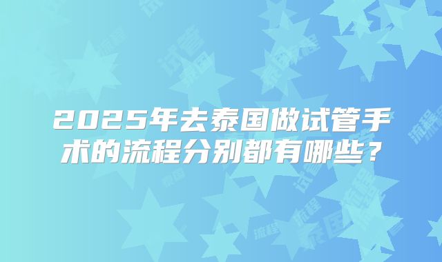 2025年去泰国做试管手术的流程分别都有哪些？