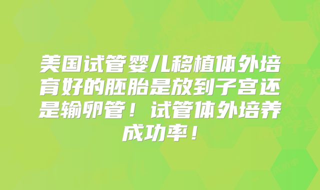 美国试管婴儿移植体外培育好的胚胎是放到子宫还是输卵管！试管体外培养成功率！
