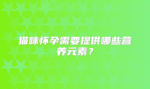 猫咪怀孕需要提供哪些营养元素？
