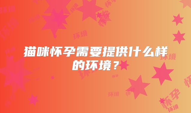 猫咪怀孕需要提供什么样的环境？