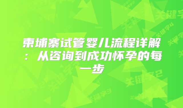柬埔寨试管婴儿流程详解：从咨询到成功怀孕的每一步