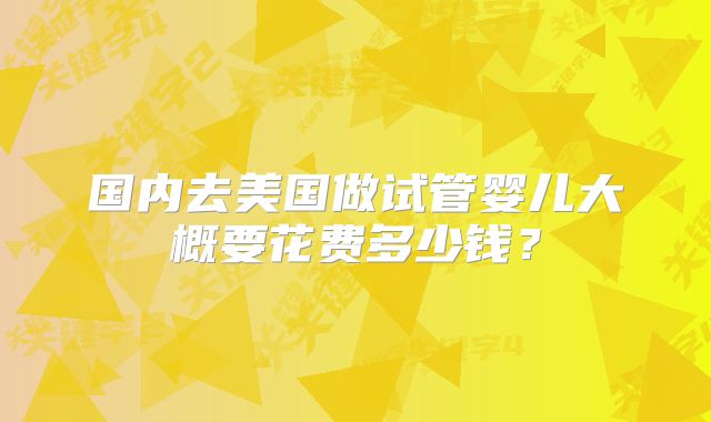 国内去美国做试管婴儿大概要花费多少钱？