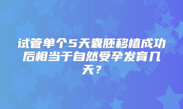 试管单个5天囊胚移植成功后相当于自然受孕发育几天？
