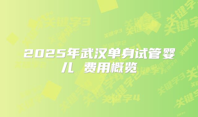 2025年武汉单身试管婴儿 费用概览
