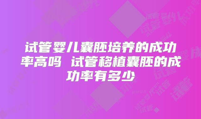 试管婴儿囊胚培养的成功率高吗 试管移植囊胚的成功率有多少