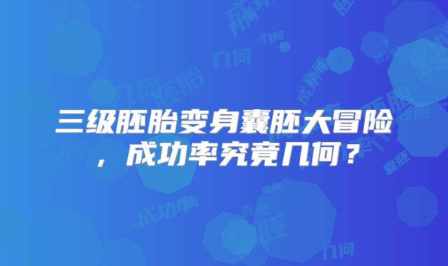 三级胚胎变身囊胚大冒险,成功率究竟几何?