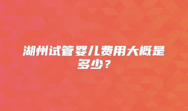 湖州试管婴儿费用大概是多少?