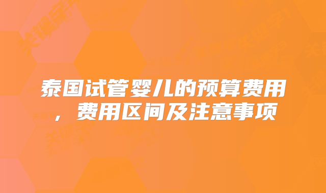 泰国试管婴儿的预算费用，费用区间及注意事项