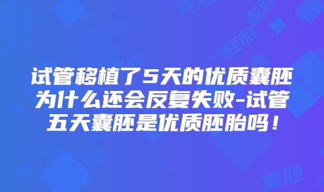 试管移植了5天的优质囊胚为什么还会反复失败-试管五天囊胚是优质胚胎吗!