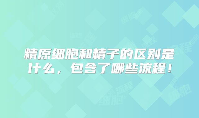 精原细胞和精子的区别是什么，包含了哪些流程！
