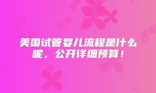 美国试管婴儿流程是什么呢,公开详细预算!