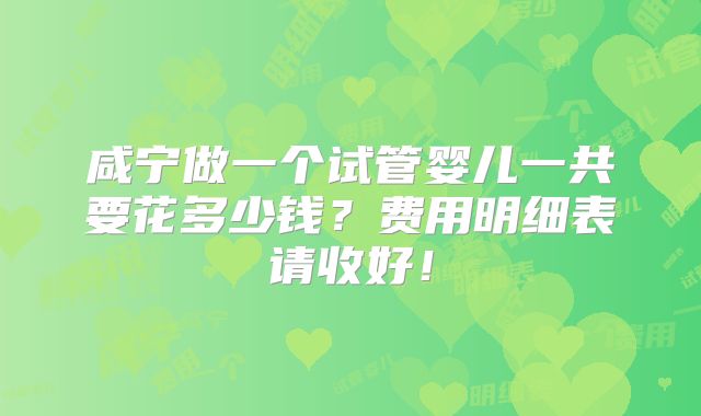 咸宁做一个试管婴儿一共要花多少钱？费用明细表请收好！