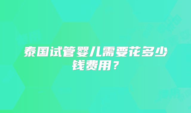泰国试管婴儿需要花多少钱费用？