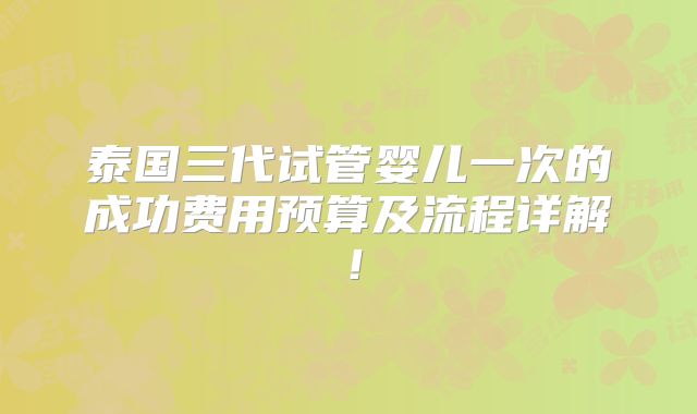 泰国三代试管婴儿一次的成功费用预算及流程详解！