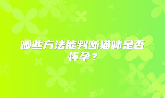 哪些方法能判断猫咪是否怀孕?