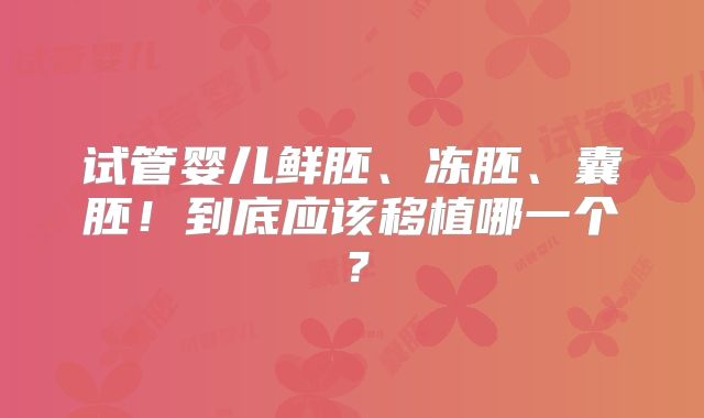 试管婴儿鲜胚、冻胚、囊胚！到底应该移植哪一个？