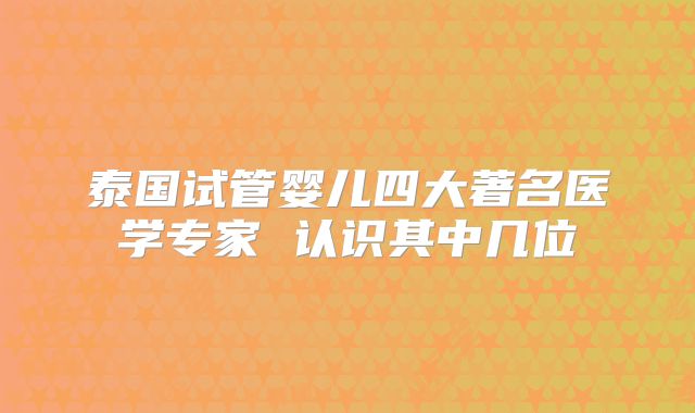 泰国试管婴儿四大著名医学专家 认识其中几位
