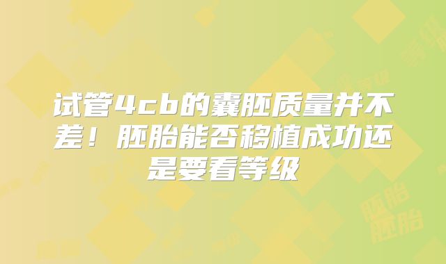 试管4cb的囊胚质量并不差！胚胎能否移植成功还是要看等级