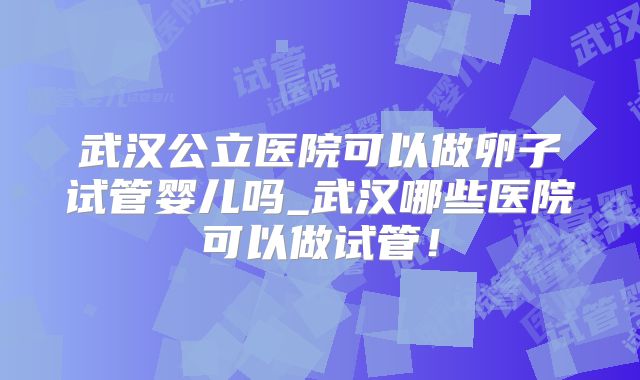 武汉公立医院可以做卵子试管婴儿吗_武汉哪些医院可以做试管！