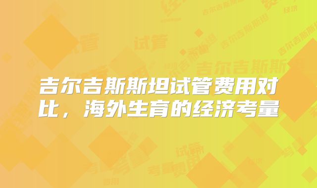 吉尔吉斯斯坦试管费用对比，海外生育的经济考量