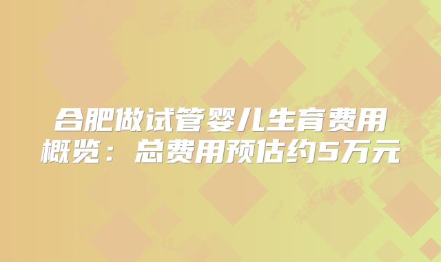 合肥做试管婴儿生育费用概览：总费用预估约5万元