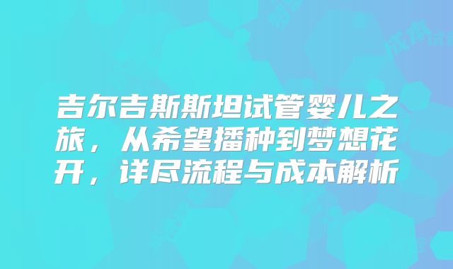 吉尔吉斯斯坦试管婴儿之旅，从希望播种到梦想花开，详尽流程与成本解析