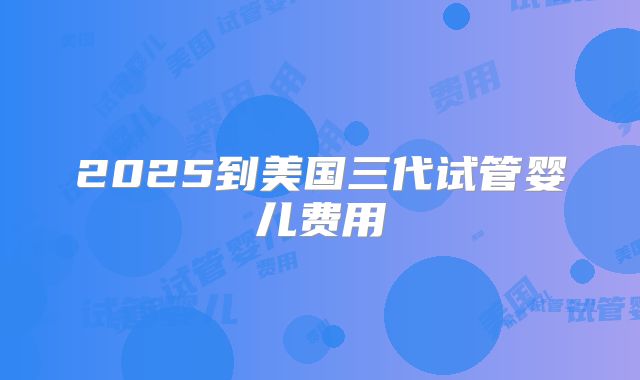 2025到美国三代试管婴儿费用