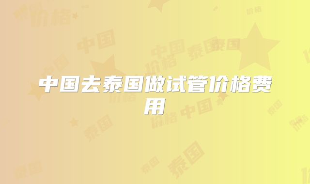 中国去泰国做试管价格费用