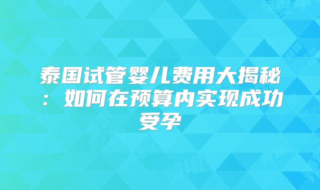 泰国试管婴儿费用大揭秘：如何在预算内实现成功受孕