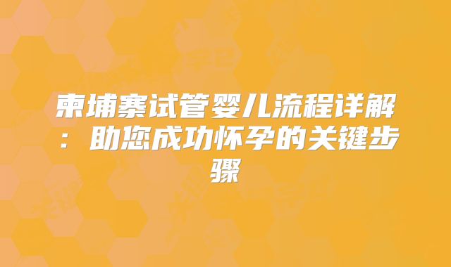 柬埔寨试管婴儿流程详解：助您成功怀孕的关键步骤