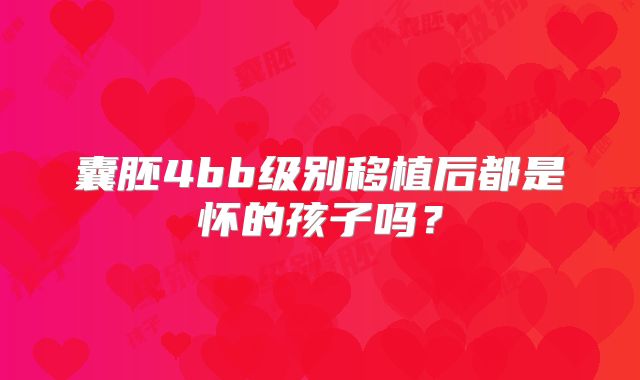 囊胚4bb级别移植后都是怀的孩子吗？