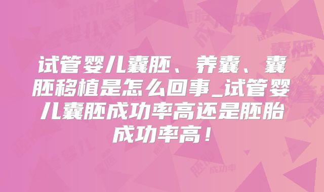试管婴儿囊胚、养囊、囊胚移植是怎么回事_试管婴儿囊胚成功率高还是胚胎成功率高！