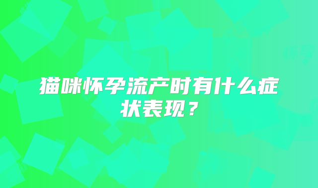 猫咪怀孕流产时有什么症状表现?