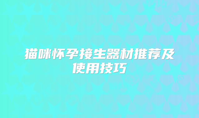 猫咪怀孕接生器材推荐及使用技巧