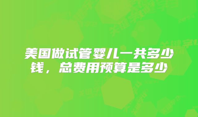 美国做试管婴儿一共多少钱，总费用预算是多少