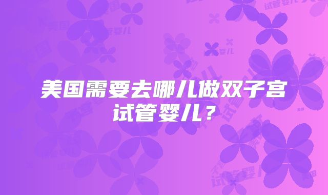 美国需要去哪儿做双子宫试管婴儿？