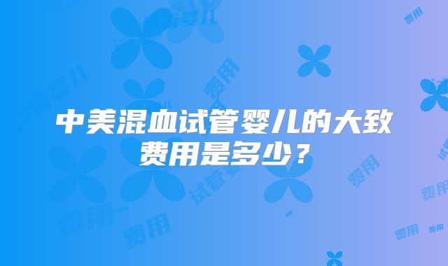 中美混血试管婴儿的大致费用是多少？