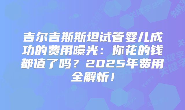 吉尔吉斯斯坦试管婴儿成功的费用曝光:你花的钱都值了吗?2025年费用全解析!