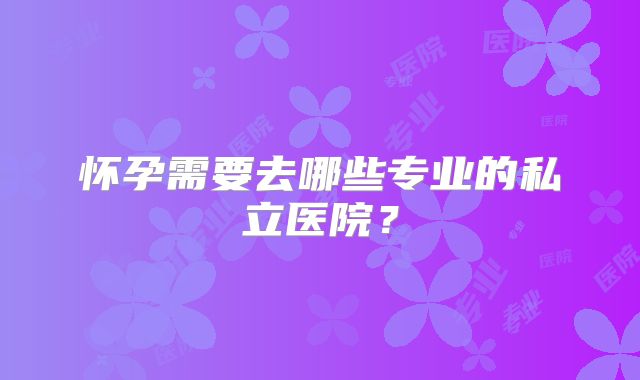 怀孕需要去哪些专业的私立医院？