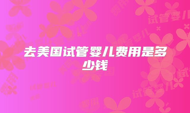 去美国试管婴儿费用是多少钱