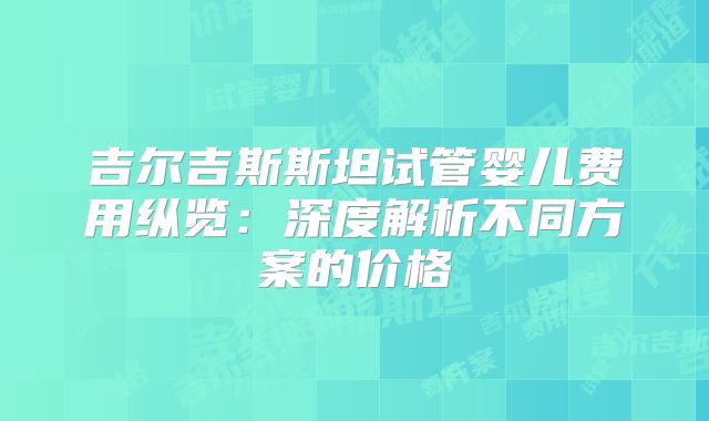 吉尔吉斯斯坦试管婴儿费用纵览：深度解析不同方案的价格