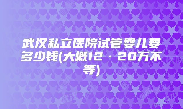 武汉私立医院试管婴儿要多少钱(大概12·20万不等)