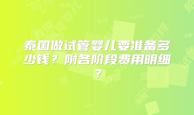 泰国做试管婴儿要准备多少钱？附各阶段费用明细？