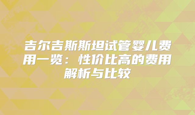 吉尔吉斯斯坦试管婴儿费用一览：性价比高的费用解析与比较