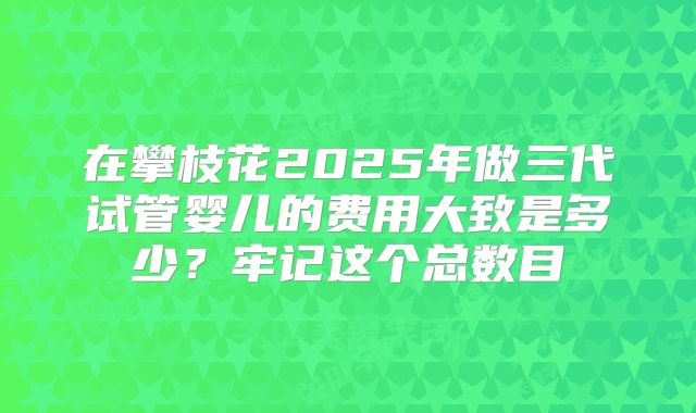 在攀枝花2025年做三代试管婴儿的费用大致是多少？牢记这个总数目